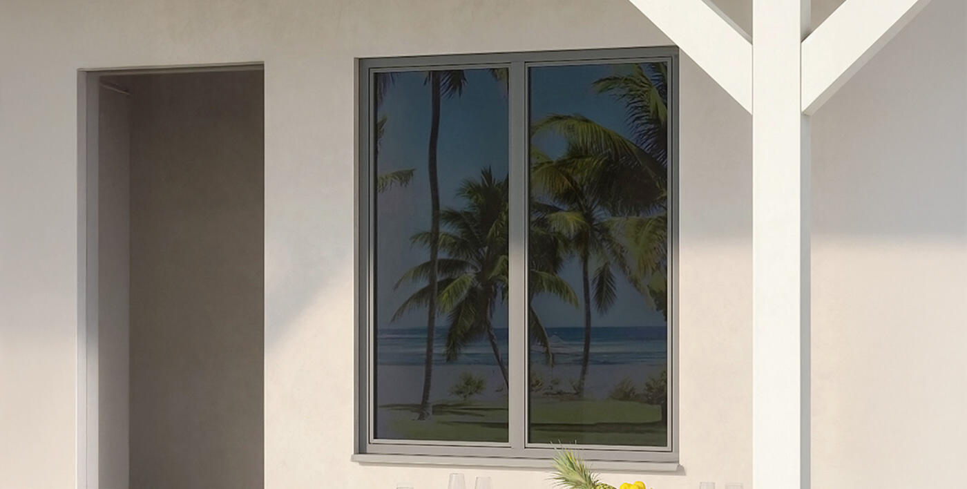 Fenêtre minimaliste Dzao® 2 vantaux